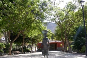 Gran Canaria: Excursión en escarabajo descapotable