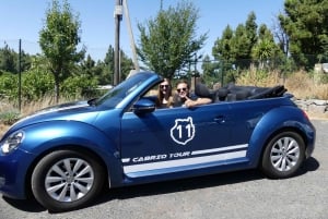 Gran Canaria: Excursión en escarabajo descapotable