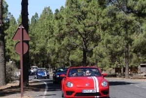 Gran Canaria: Excursión en escarabajo descapotable