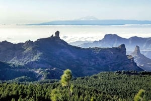 Gran Canaria: Excursión en escarabajo descapotable