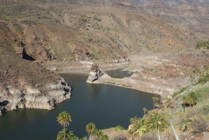 Gran Canaria: Convertible Beetle Tour