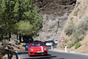 Gran Canaria: Convertible Beetle Tour