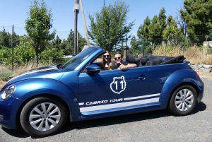 Gran Canaria: Convertible Beetle Tour