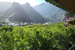 Gran Canaria: Tour privado personalizable