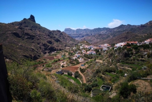 Gran Canaria: Tour privado personalizable