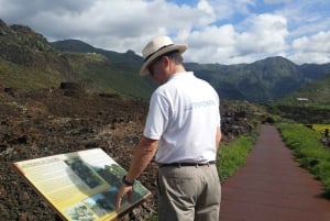 Gran Canaria: Customizable Private Tour