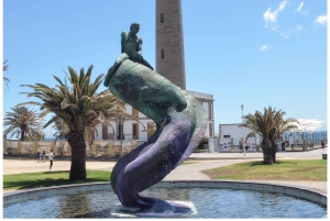 Gran Canaria: Customizable Private Tour