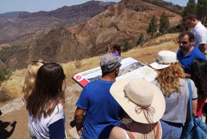 Gran Canaria: Customizable Private Tour