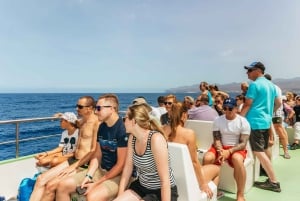 Gran Canaria: Dolphin and Whale Watching Cruise