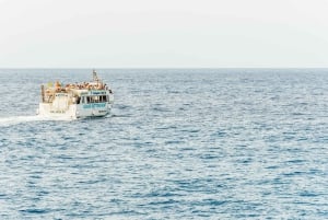 Gran Canaria: Dolphin and Whale Watching Cruise