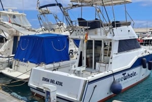 Gran Canaria: tour ecológico en barco para avistar delfines en grupo reducido