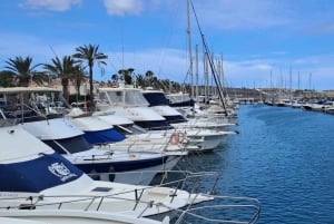 Gran Canaria: tour ecológico en barco para avistar delfines en grupo reducido
