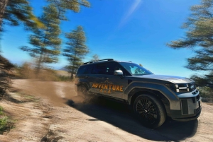 Gran Canaria: Premium Safari 4x4 Tour with Local Guide