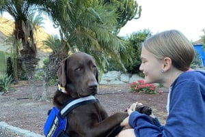 Gran Canaria: Exclusive Therapy Dog Experience in Nature