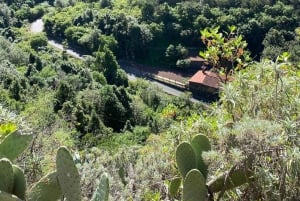 Gran Canaria: Exclusive Therapy Dog Experience in Nature