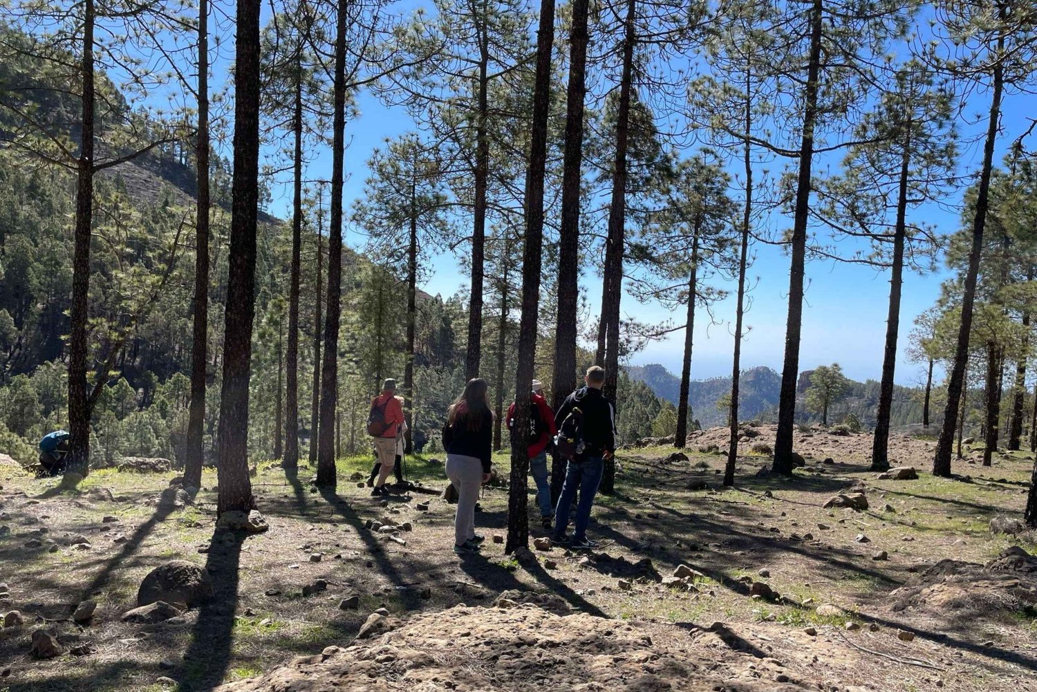 Gran Canaria: excursion to the Ventana del Nublo