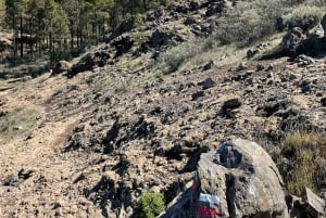 Gran Canaria: excursión a la Ventana del Nublo