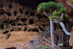 Gran Canaria: Fast & Furious sky adventure + cave tour