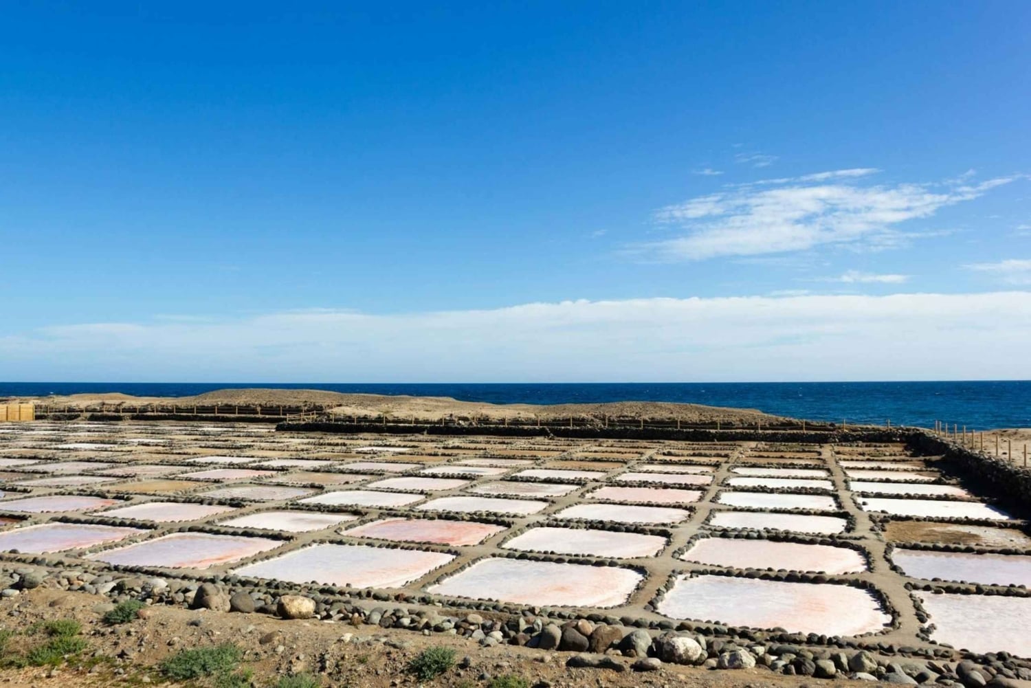 Gran Canaria: Food Tour with Distillery Visit & Lunch