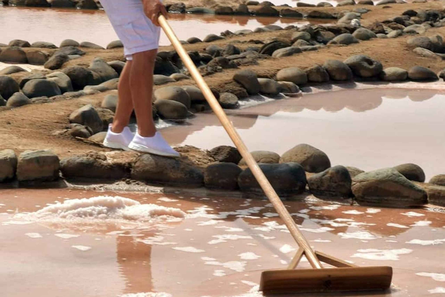 Gran Canaria: Food Tour with Distillery Visit & Lunch