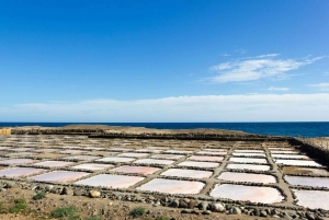 Gran Canaria: Food Tour with Distillery Visit & Lunch