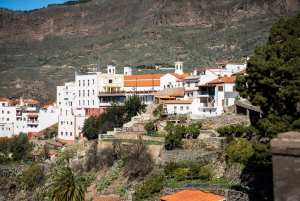 Gran Canaria from the Heights: Fataga and Tejeda