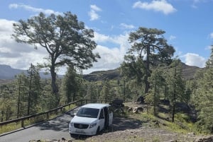 Gran Canaria: Full Coast Tour with Local Guide