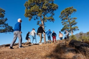Gran Canaria: Full Coast Tour with Local Guide