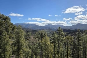 Gran Canaria: Full Coast Tour with Local Guide