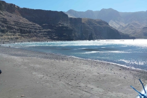Gran Canaria: Full Coast Tour with Local Guide