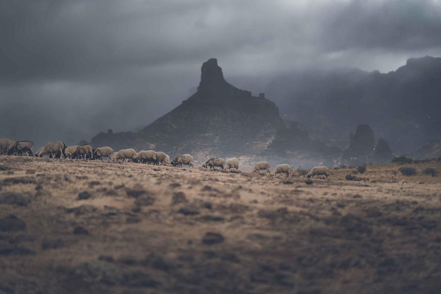 Gran Canaria: Full-Day Customizable Private Photography Tour