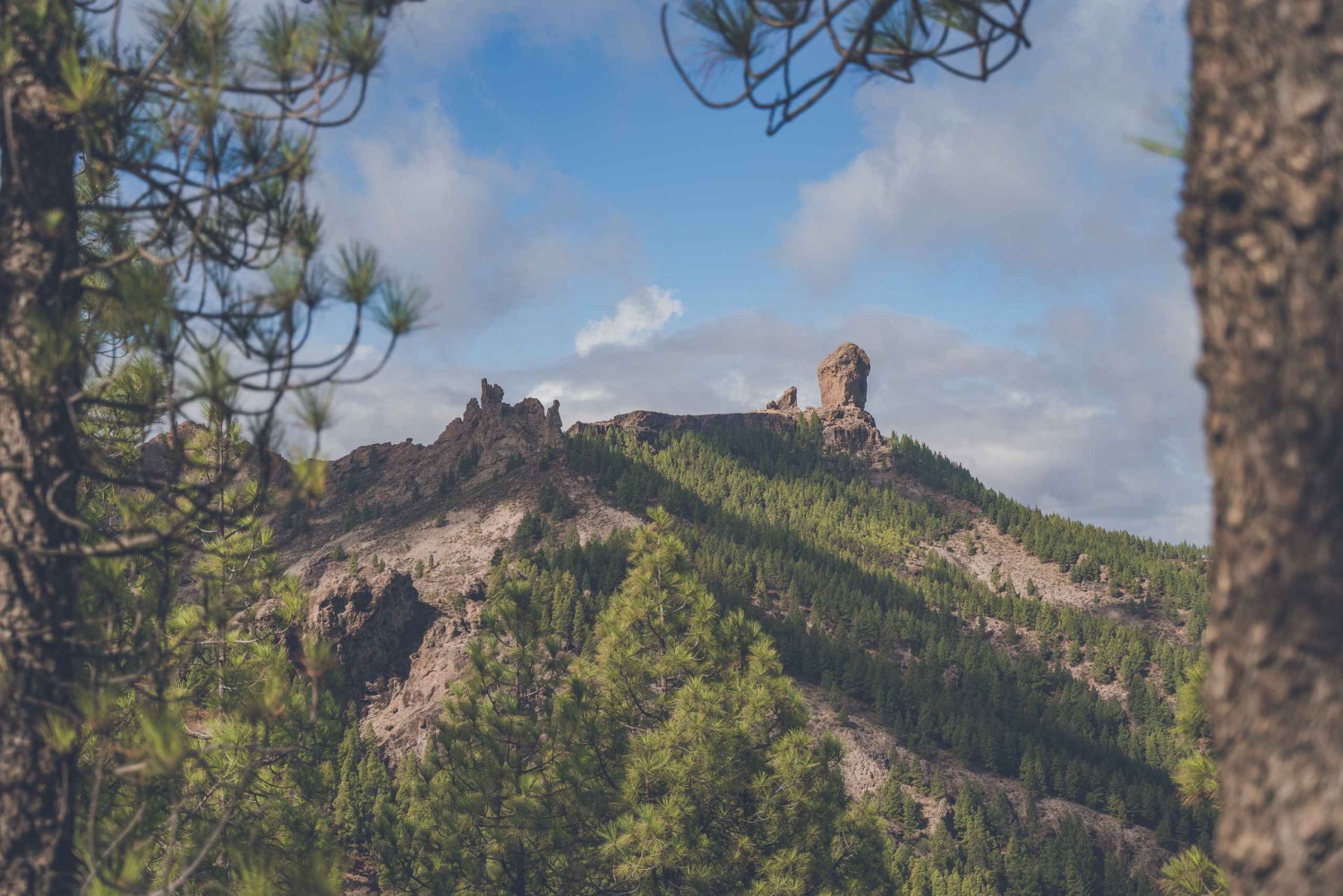 Gran Canaria: Full-Day Customizable Private Photography Tour