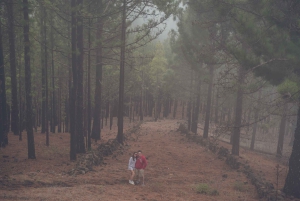 Gran Canaria: Full-Day Customizable Private Photography Tour