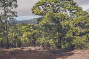 Gran Canaria: Full-Day Customizable Private Photography Tour