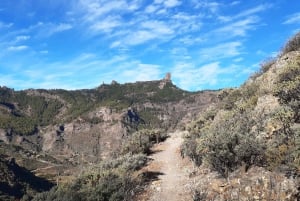 Gran Canaria: Full-Day Guided Hiking With Snacks