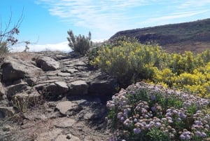 Gran Canaria: Full-Day Guided Hiking With Snacks