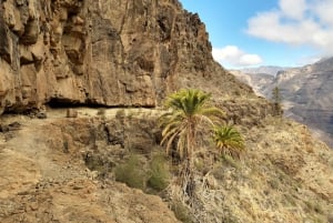 Gran Canaria: Full-Day Guided Hiking With Snacks
