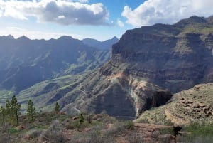 Gran Canaria: Full-Day Guided Hiking With Snacks