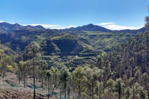 Gran Canaria: Full-Day Guided Hiking With Snacks