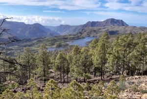 Gran Canaria: Full-Day Guided Hiking With Snacks