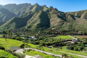 Gran Canaria: Full-Day Island Sightseeing Coach Tour