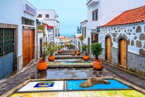 Gran Canaria: Full-Day VIP Tour by Bus