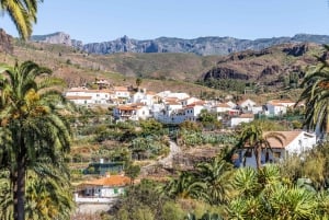 Gran Canaria: Full-Day VIP Tour by Bus