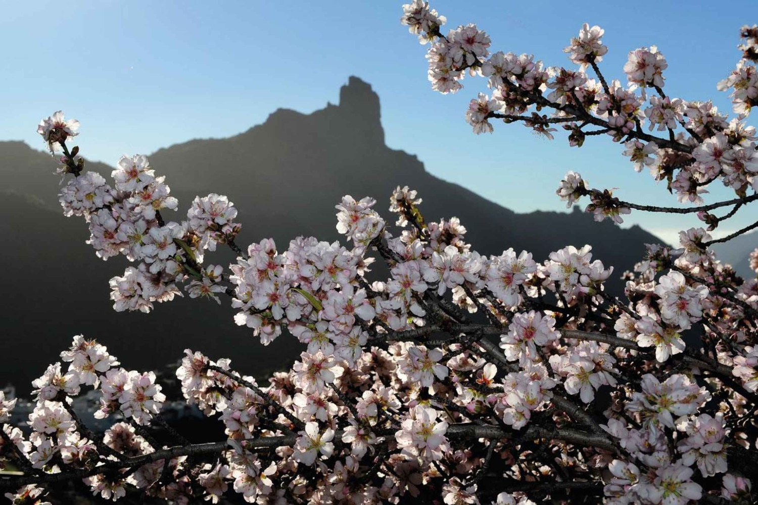 Gran Canaria Gran Tour