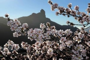 Gran Canaria Gran Tour