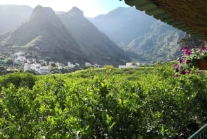 Gran Canaria: Gran Vuelta a la Isla en autobús con traslados