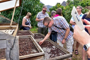 Gran Canaria: Grand Island Tour by Bus with Transfers