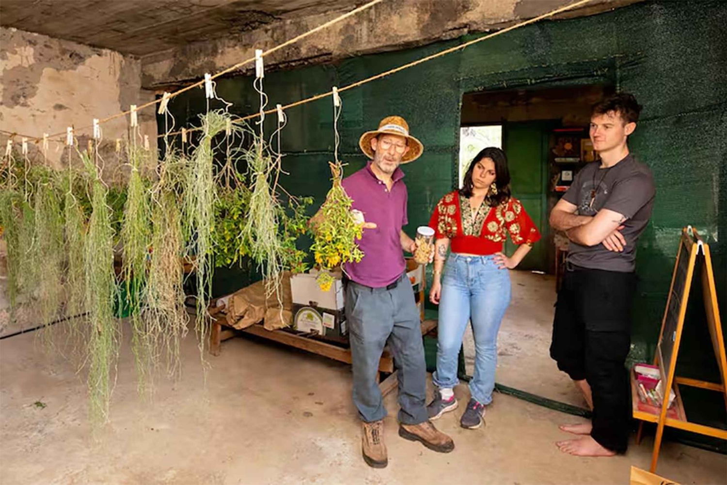 Gran Canaria: Green Witchcraft in the Magic Island