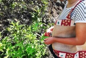 Gran Canaria: Green Witchcraft in the Magic Island