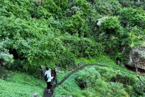 Gran Canaria: Green Witchcraft in the Magic Island